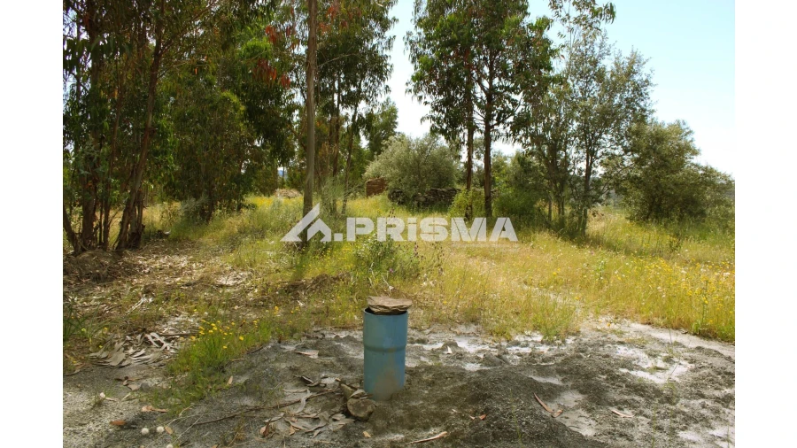 Quinta para Venda em Escalos de Baixo e Mata Foto 2