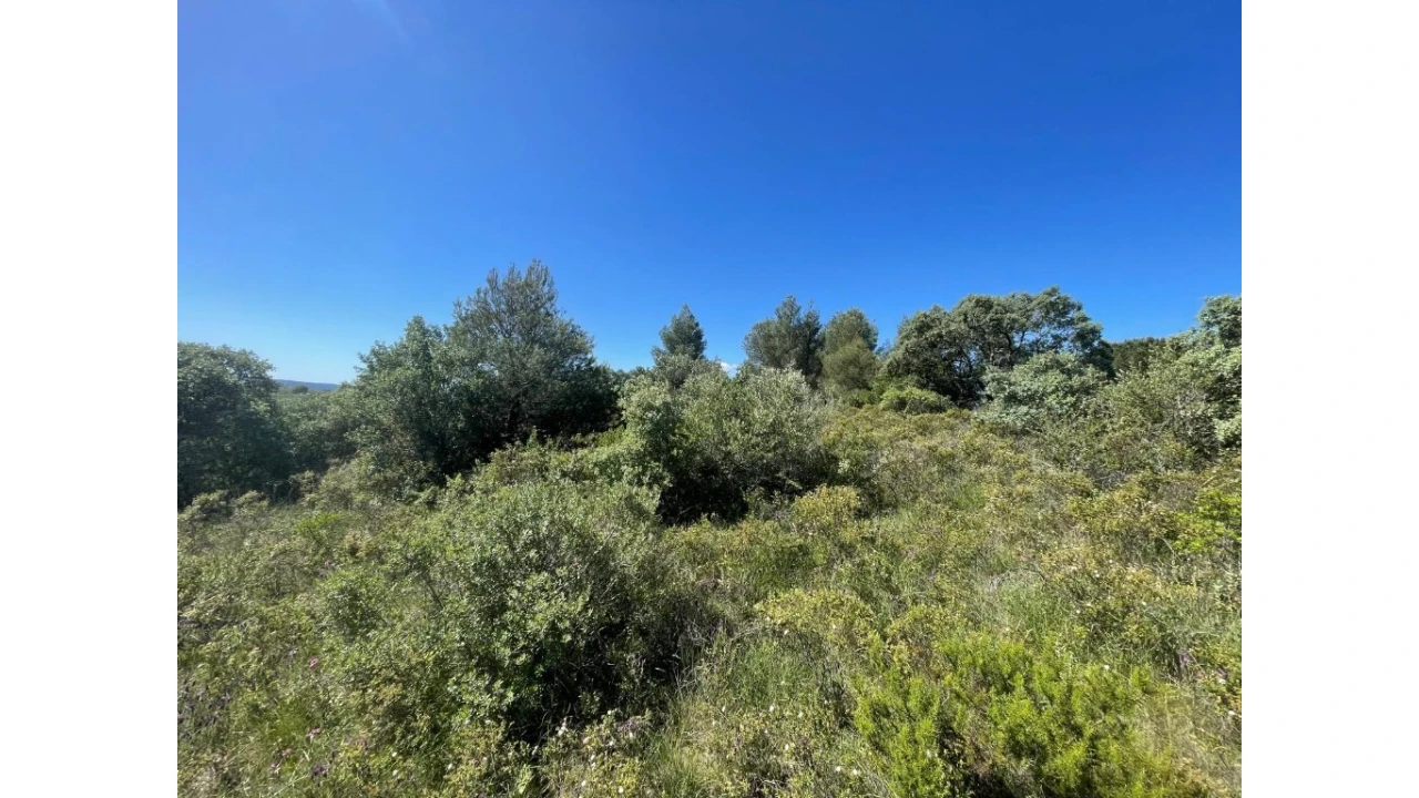 Terreno para Venda em Casais e Alviobeira Foto 4