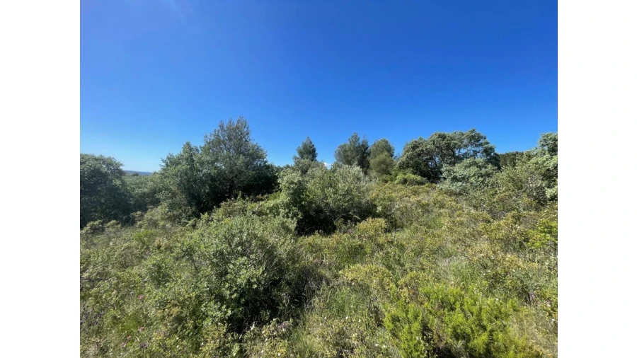 Terreno para Venda em Casais e Alviobeira Foto 4