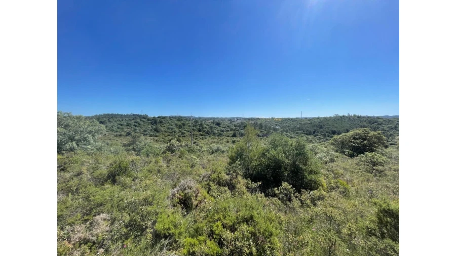 Terreno para Venda em Casais e Alviobeira Foto 1