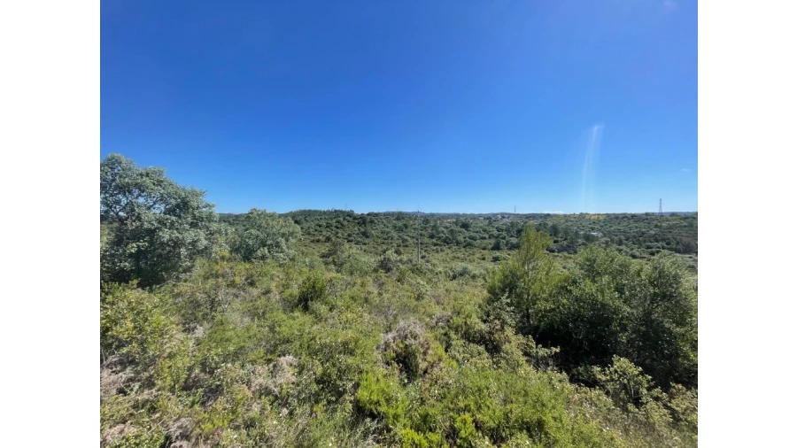 Terreno para Venda em Casais e Alviobeira Foto 2