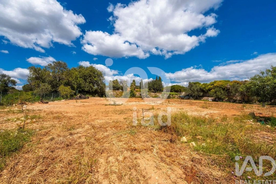 Quinta T1 para Venda em Loule (São Clemente) Foto 23