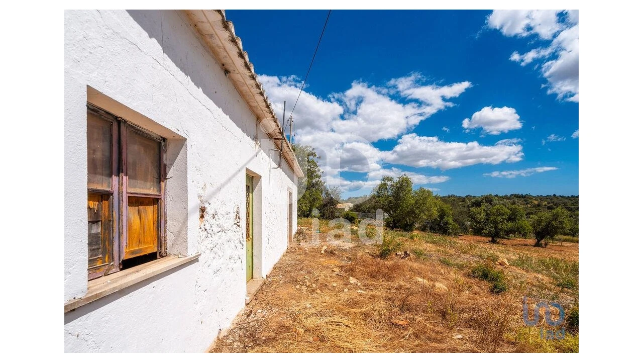 Quinta T1 para Venda em Loule (São Clemente) Foto 2
