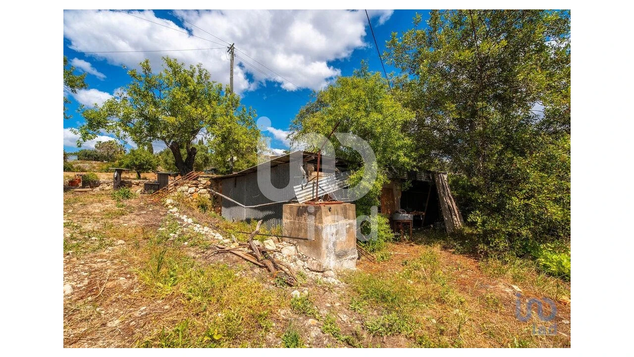 Quinta T1 para Venda em Loule (São Clemente) Foto 13