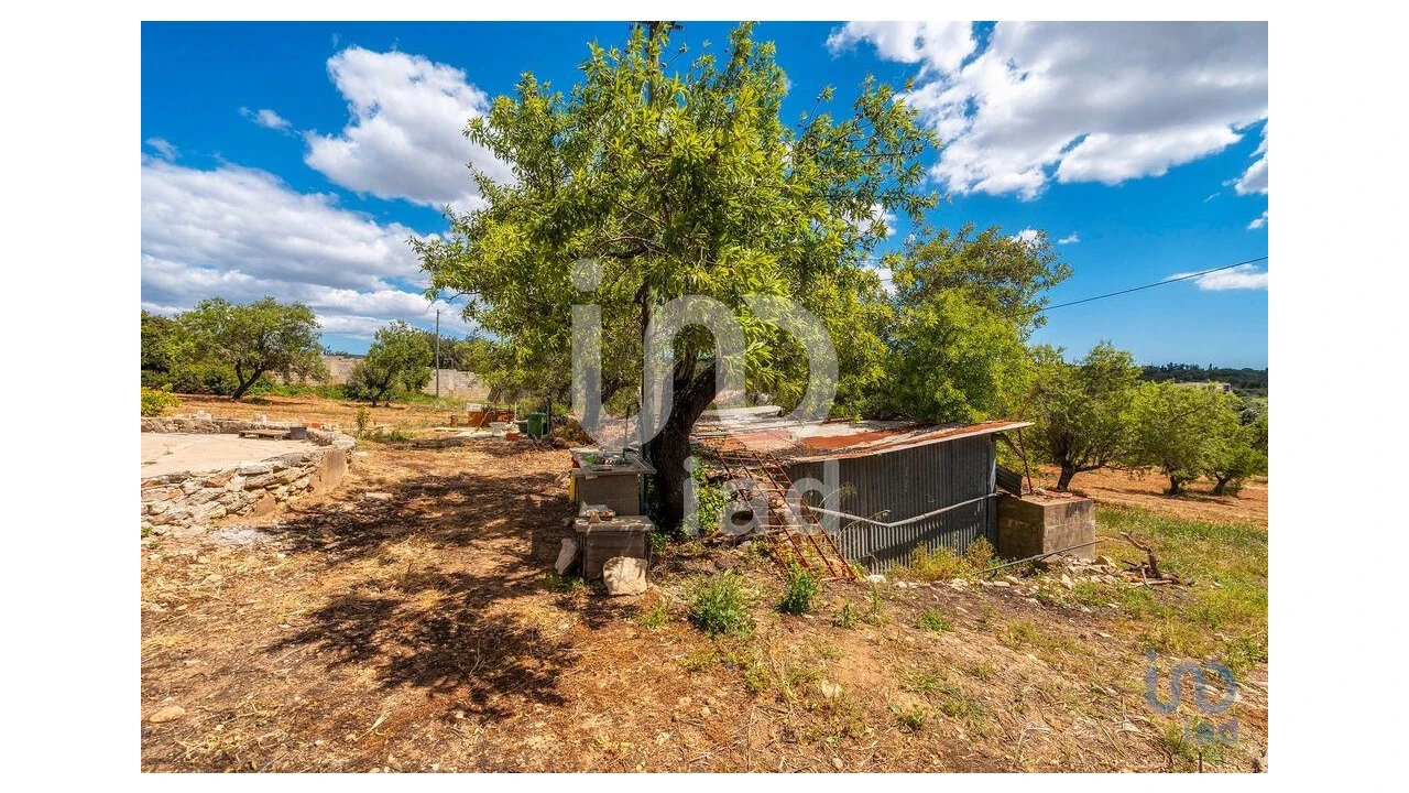 Quinta T1 para Venda em Loule (São Clemente) Foto 12