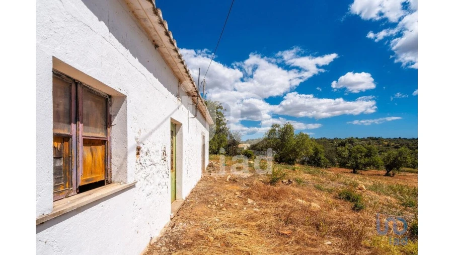 Quinta T1 para Venda em Loule (São Clemente) Foto 2