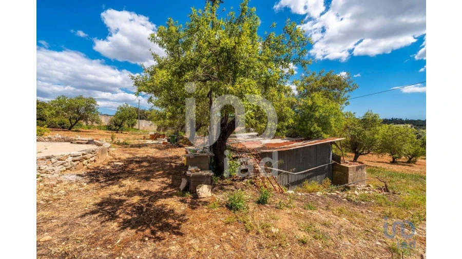 Quinta T1 para Venda em Loule (São Clemente) Foto 12