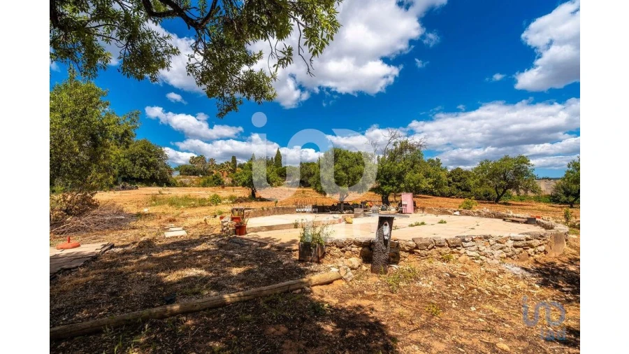Quinta T1 para Venda em Loule (São Clemente) Foto 15