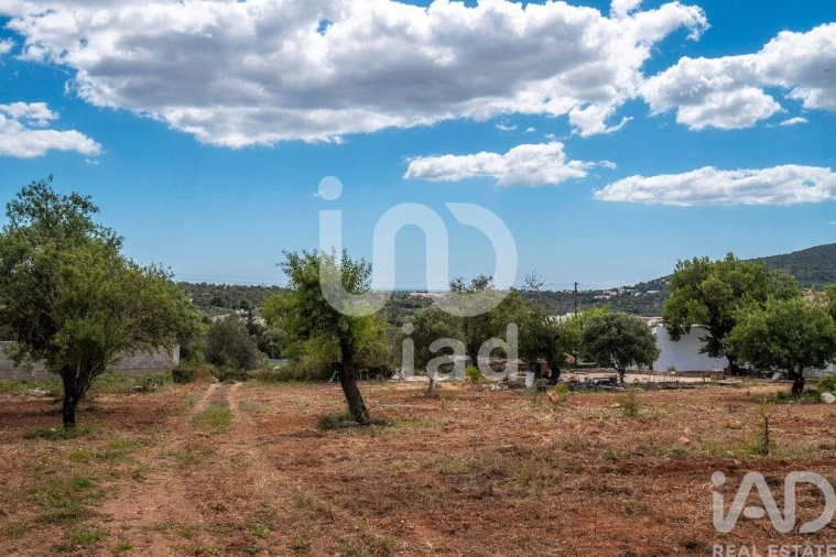 Quinta T1 para Venda em Loule (São Clemente) Foto 17