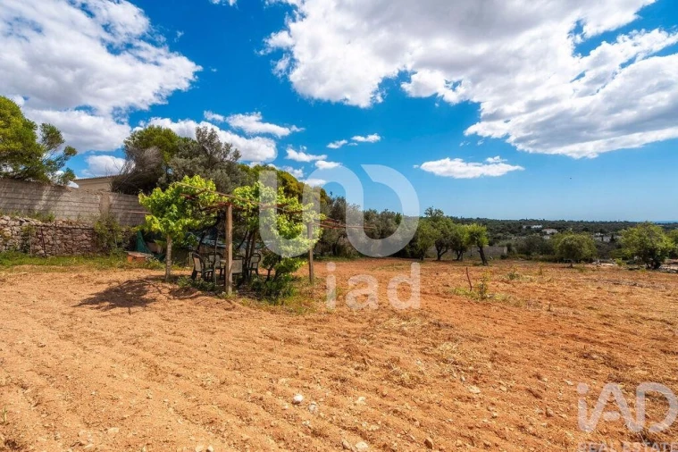 Quinta T1 para Venda em Loule (São Clemente) Foto 21