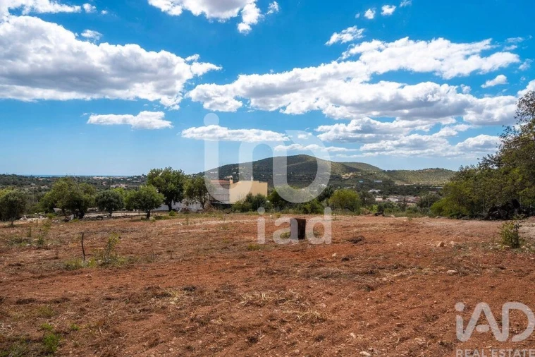 Quinta T1 para Venda em Loule (São Clemente) Foto 18