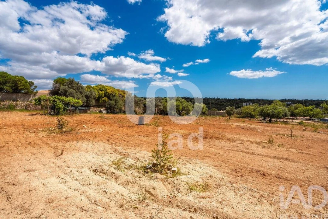 Quinta T1 para Venda em Loule (São Clemente) Foto 20