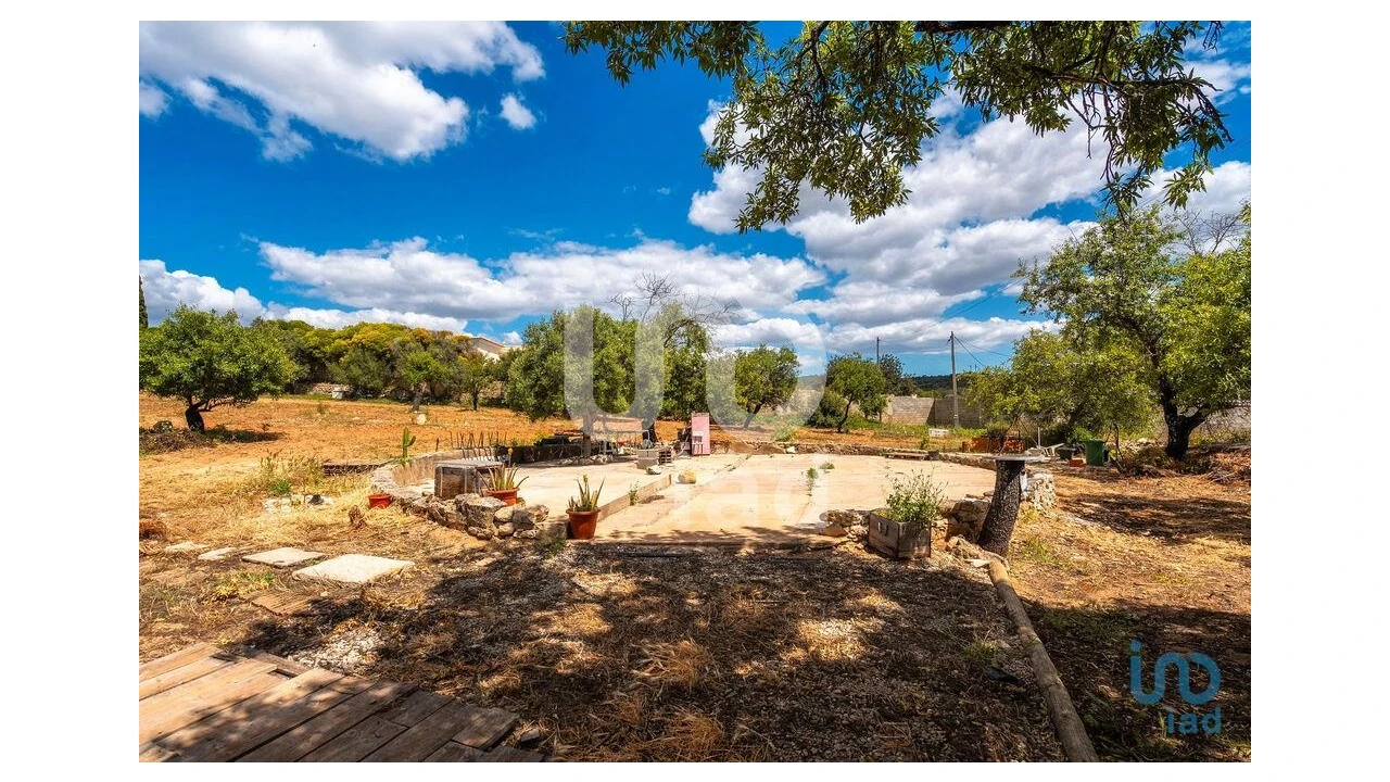 Quinta T1 para Venda em Loule (São Clemente) Foto 14