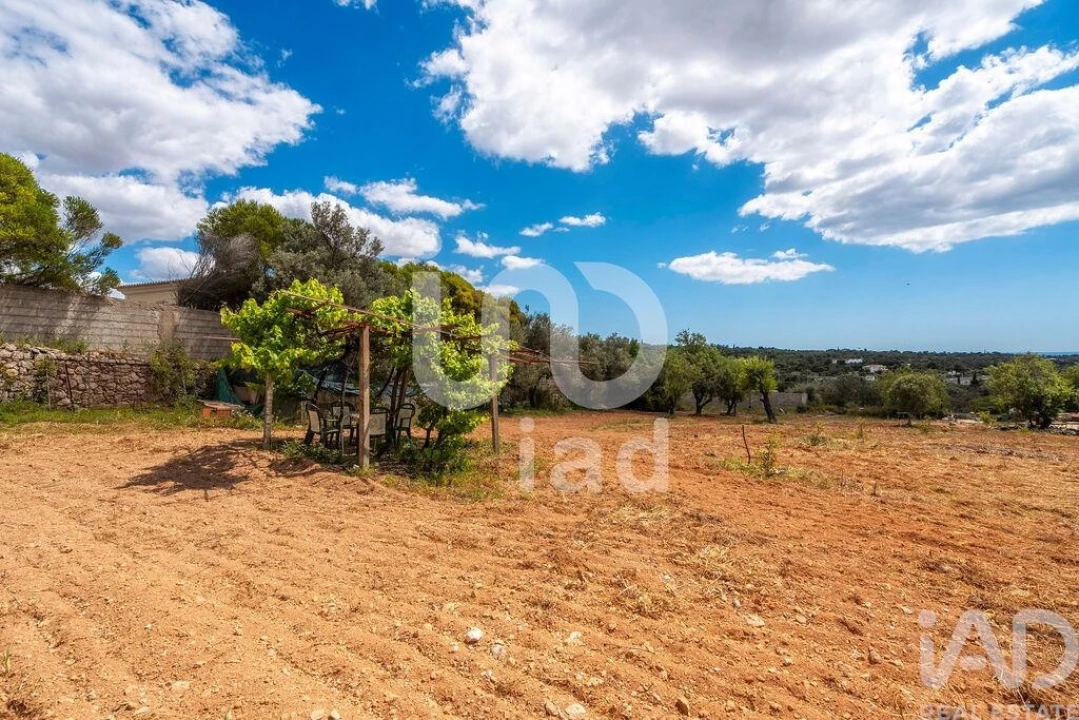 Quinta T1 para Venda em Loule (São Clemente) Foto 21