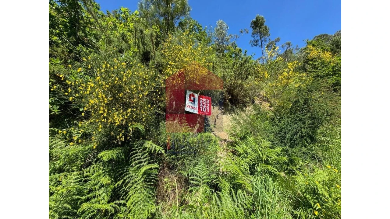 Terreno para Venda em Sande, Vilarinho, Barros e Gomide Foto 1