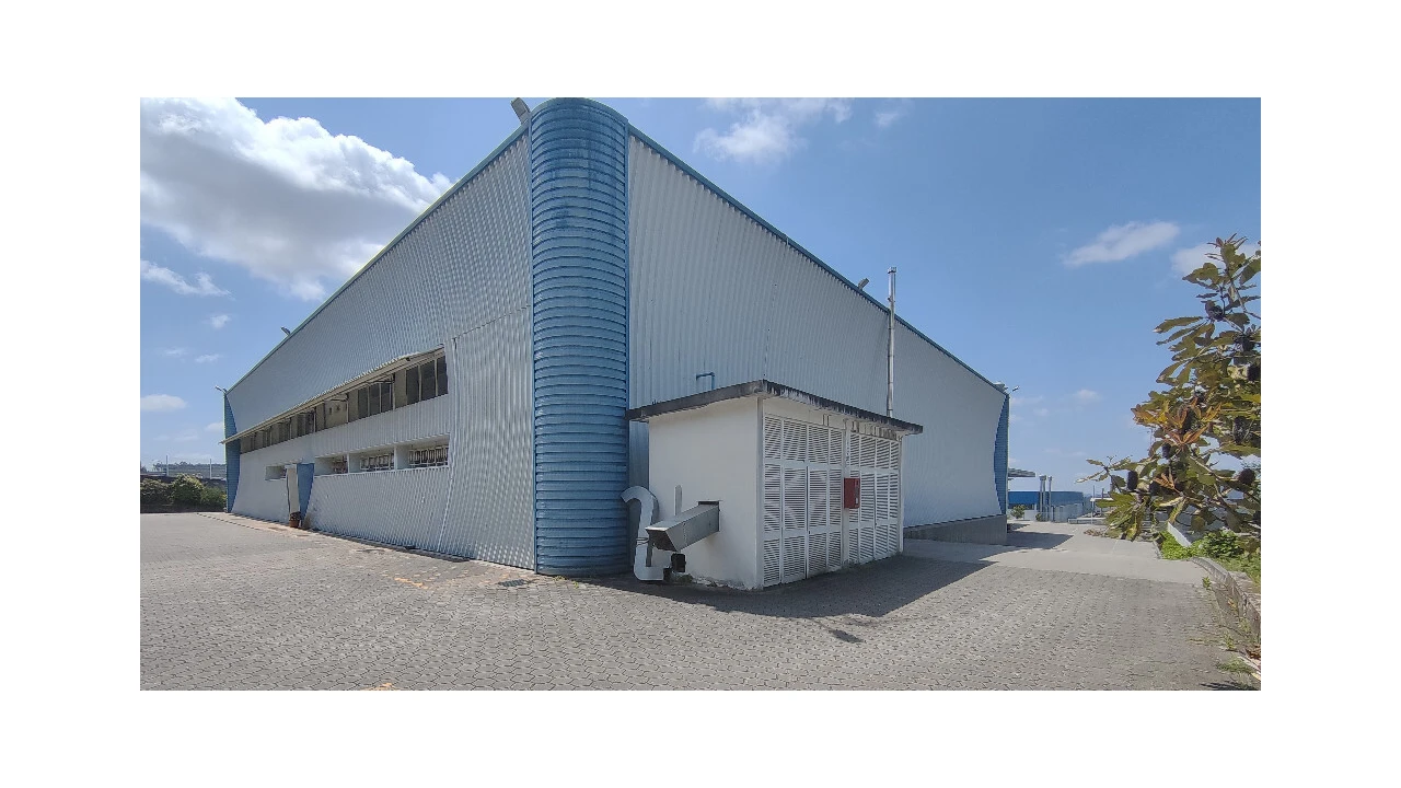 Armazém para Venda em Raiva, Pedorido e Paraíso Foto 2