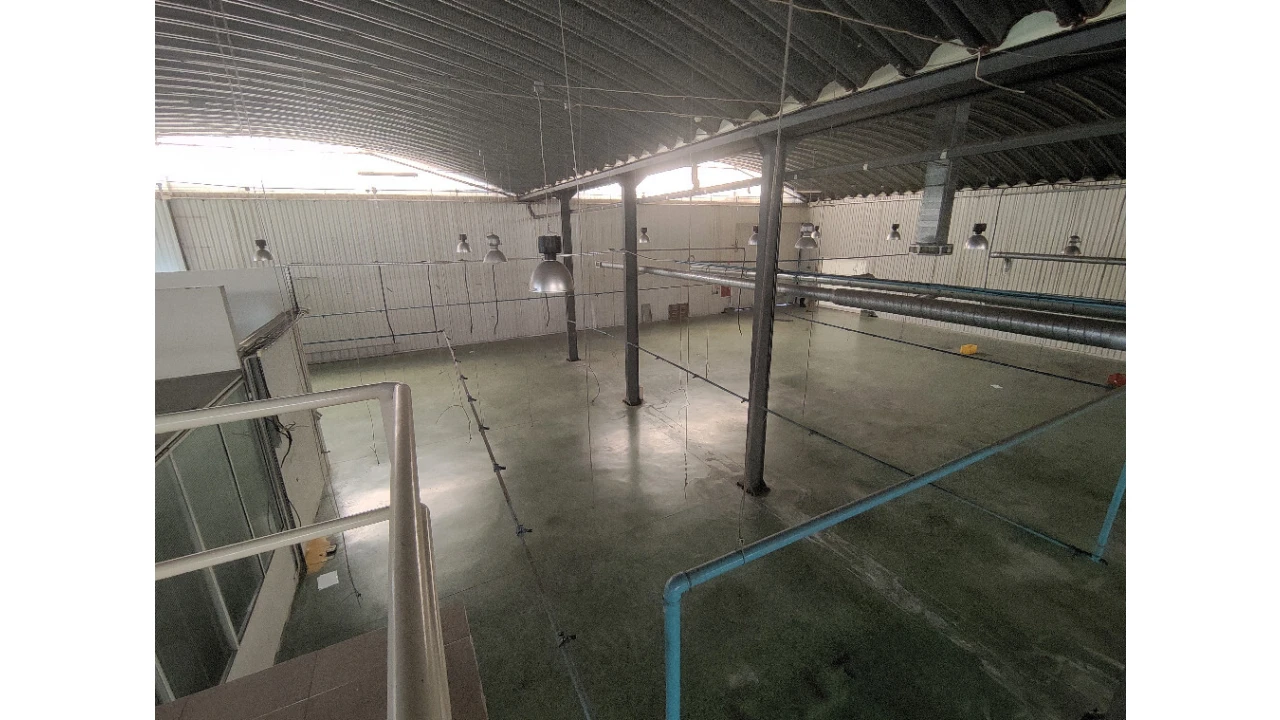 Armazém para Venda em Raiva, Pedorido e Paraíso Foto 23