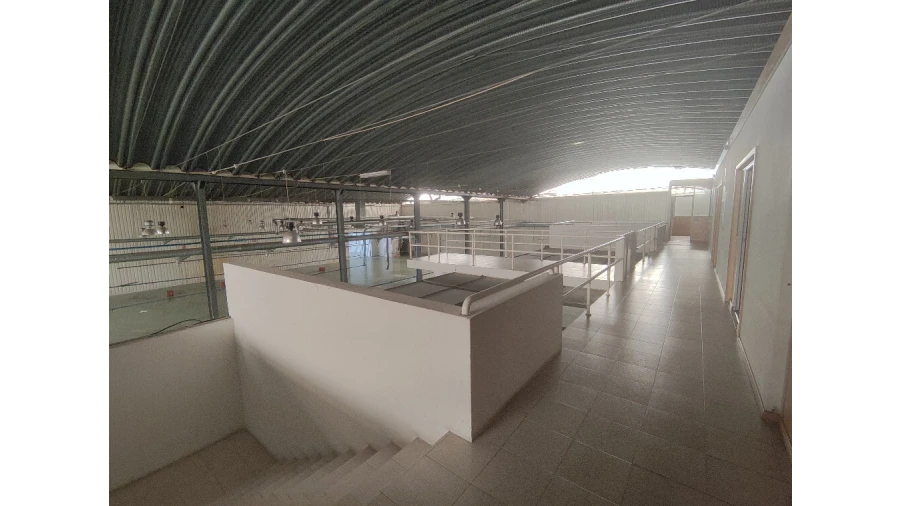 Armazém para Venda em Raiva, Pedorido e Paraíso Foto 21