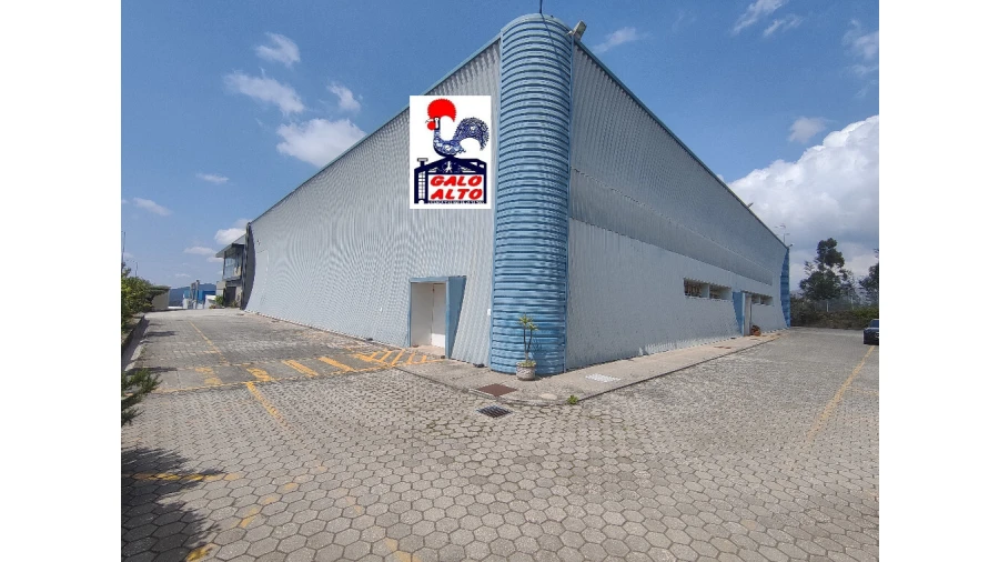 Armazém para Venda em Raiva, Pedorido e Paraíso Foto 3