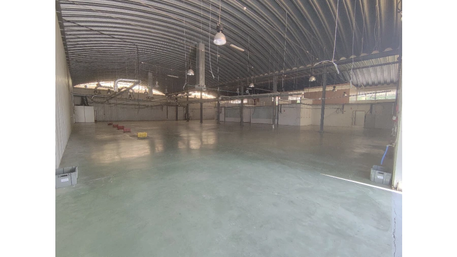 Armazém para Venda em Raiva, Pedorido e Paraíso Foto 31