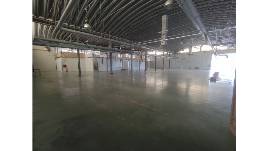 Armazém para Venda em Raiva, Pedorido e Paraíso Foto 25