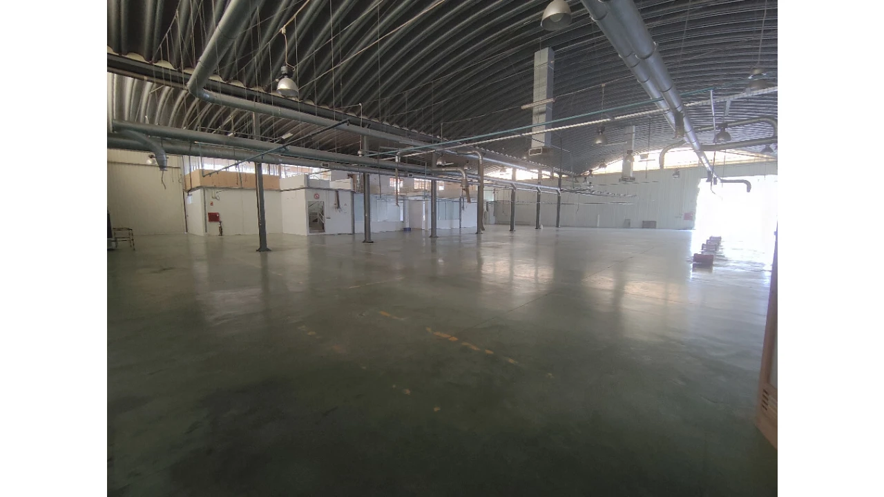 Armazém para Venda em Raiva, Pedorido e Paraíso Foto 25