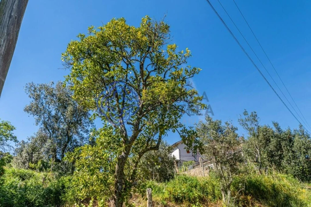 Quinta T4 para Venda em Alpendorada, Várzea e Torrão Foto 44