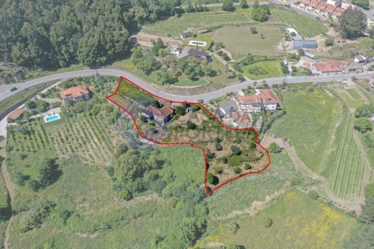 Quinta T4 para Venda em Alpendorada, Várzea e Torrão Foto 48