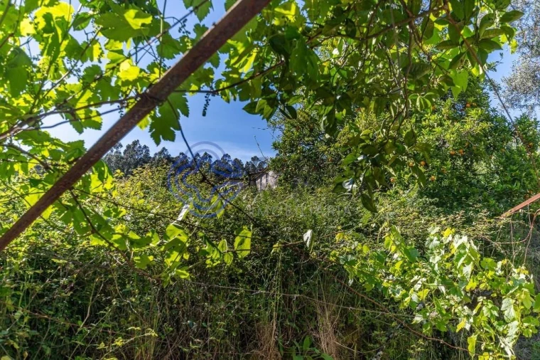 Quinta T4 para Venda em Alpendorada, Várzea e Torrão Foto 45