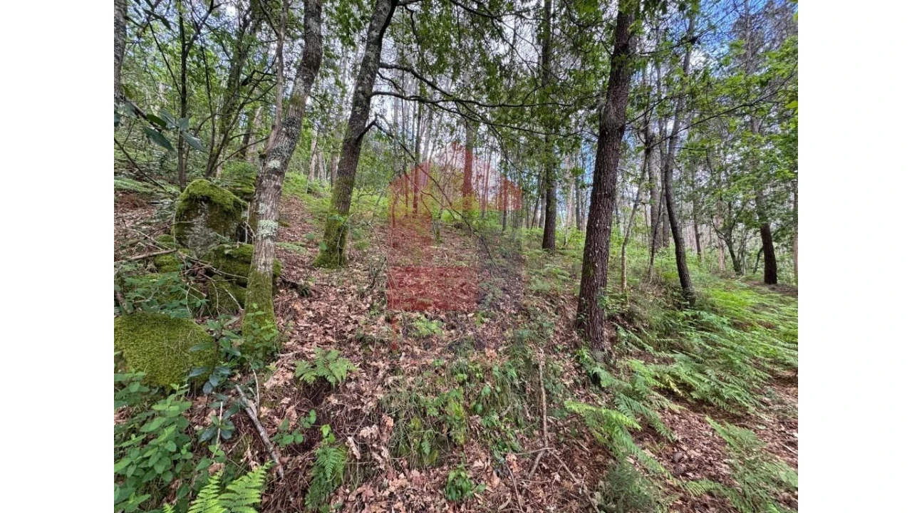 Terreno para Venda em Sande, Vilarinho, Barros e Gomide Foto 1