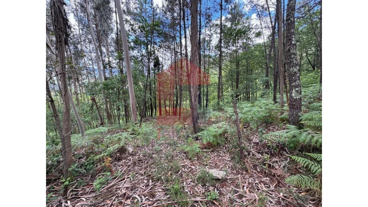 Terreno para Venda em Sande, Vilarinho, Barros e Gomide Foto 7