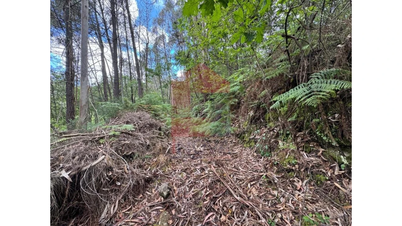 Terreno para Venda em Sande, Vilarinho, Barros e Gomide Foto 10