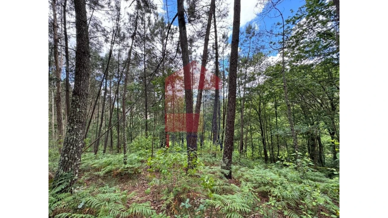 Terreno para Venda em Sande, Vilarinho, Barros e Gomide Foto 8