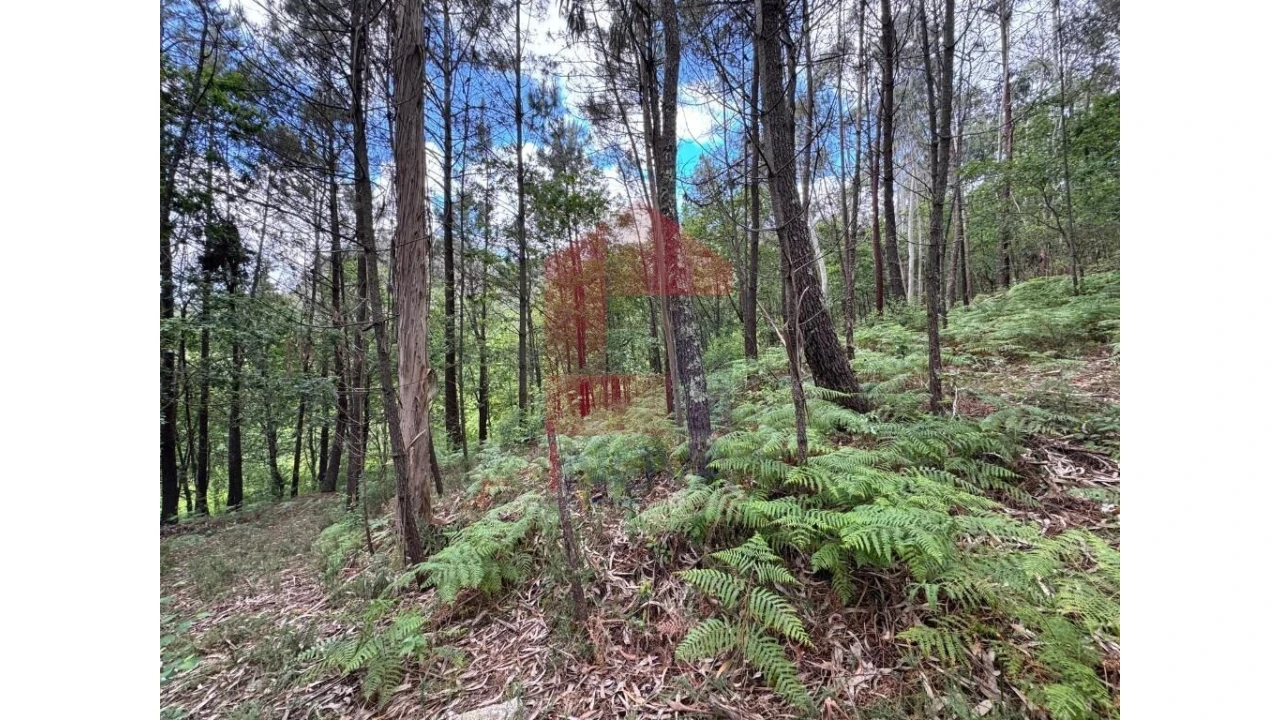 Terreno para Venda em Sande, Vilarinho, Barros e Gomide Foto 6