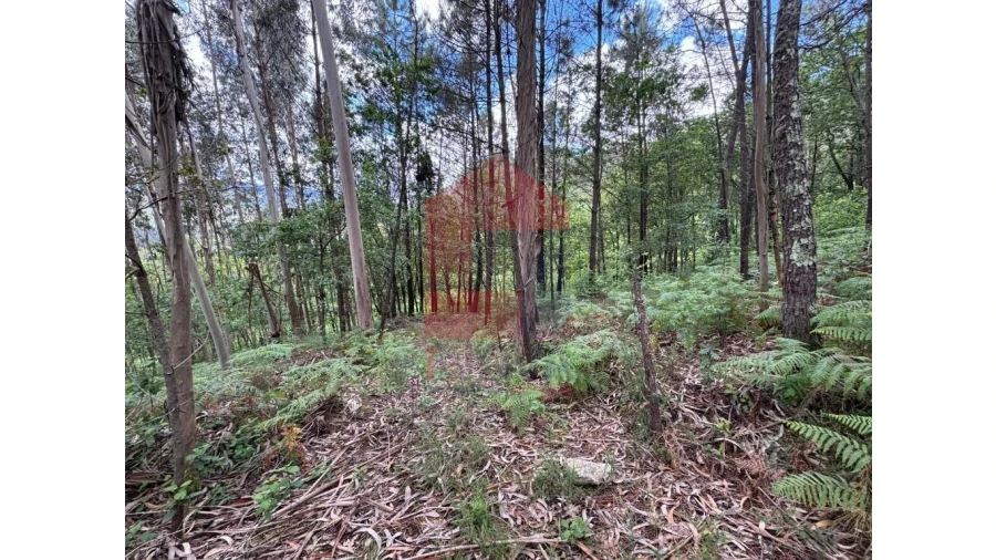 Terreno para Venda em Sande, Vilarinho, Barros e Gomide Foto 7