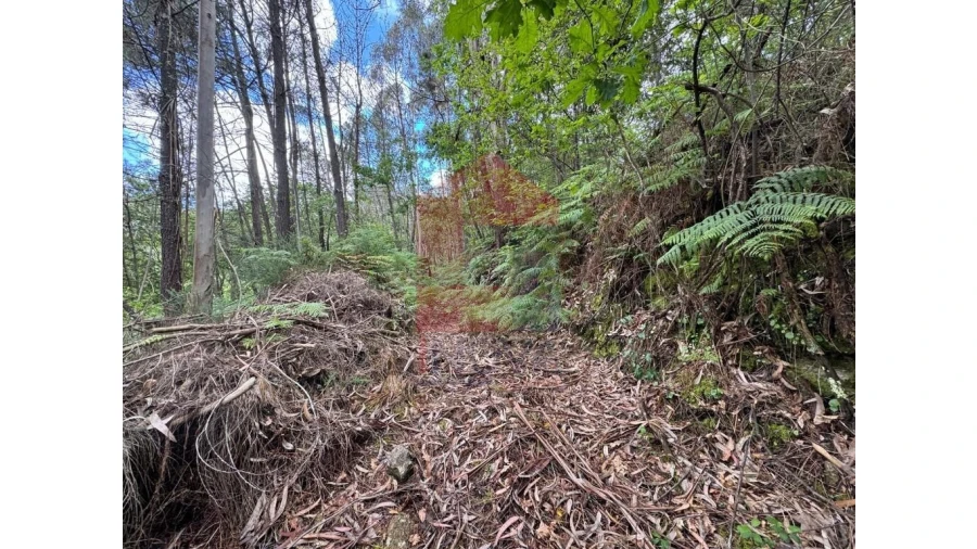 Terreno para Venda em Sande, Vilarinho, Barros e Gomide Foto 10