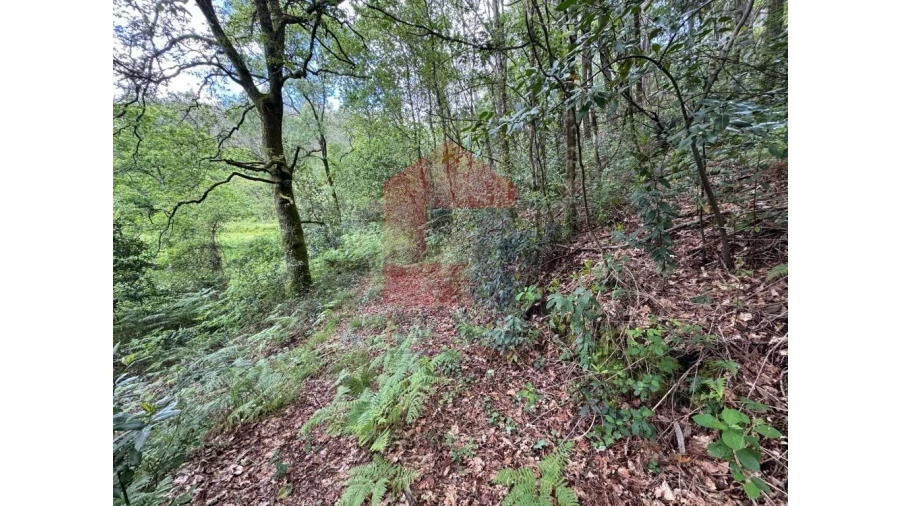 Terreno para Venda em Sande, Vilarinho, Barros e Gomide Foto 2