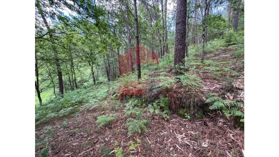 Terreno para Venda em Sande, Vilarinho, Barros e Gomide Foto 4