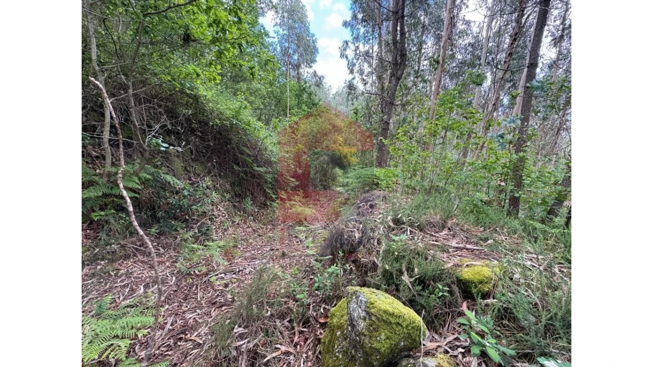 Terreno para Venda em Sande, Vilarinho, Barros e Gomide Foto 11