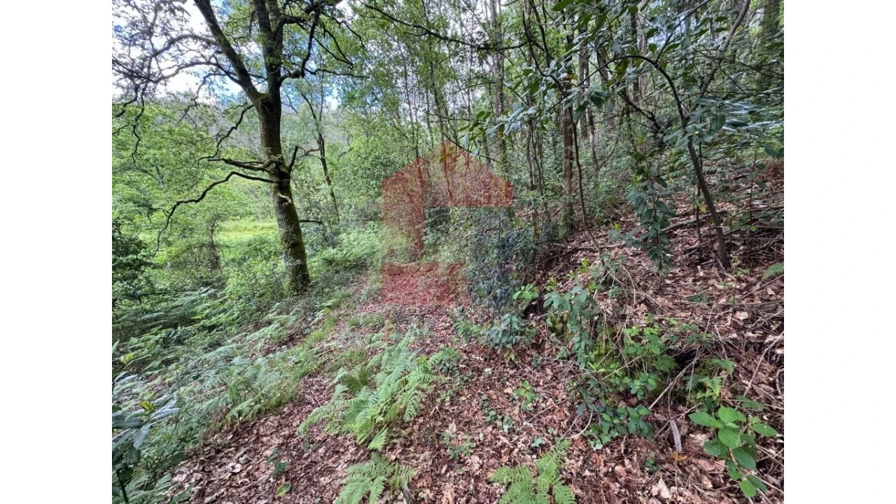 Terreno para Venda em Sande, Vilarinho, Barros e Gomide Foto 2