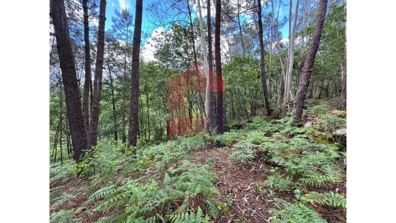 Terreno para Venda em Sande, Vilarinho, Barros e Gomide Foto 9