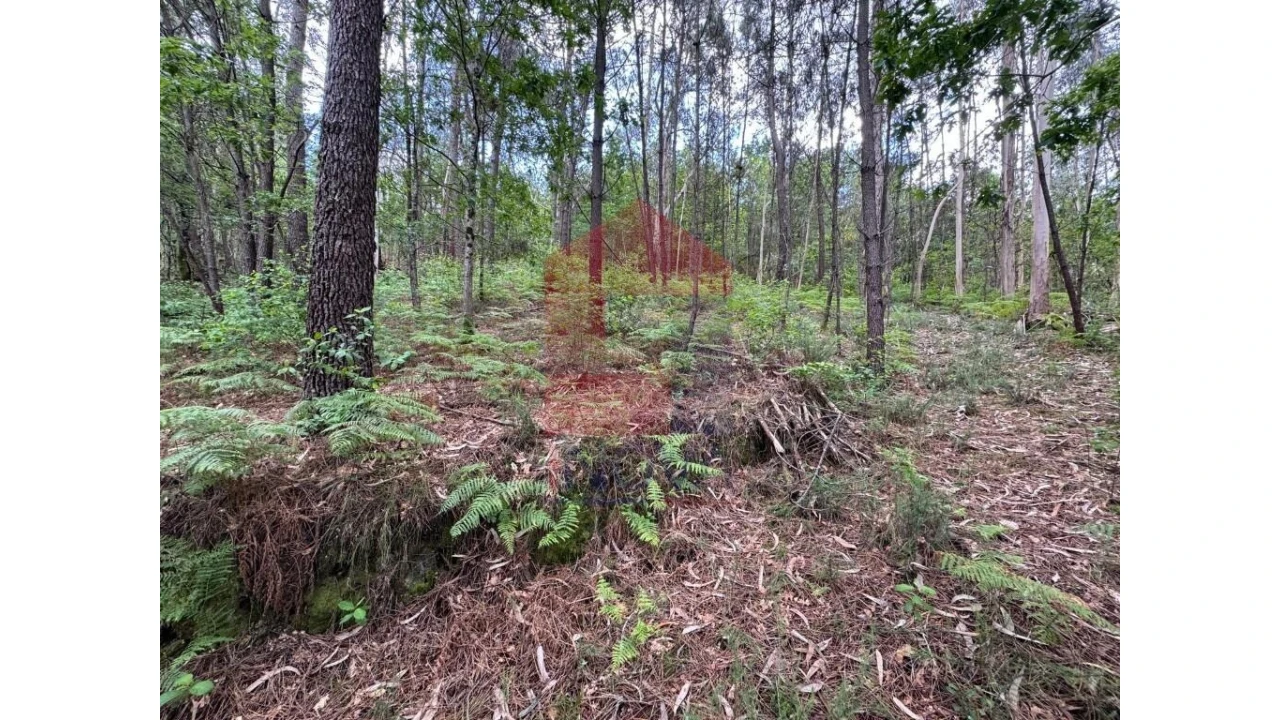 Terreno para Venda em Sande, Vilarinho, Barros e Gomide Foto 5