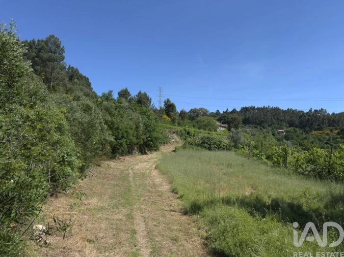 Moradia T5 para Venda em Oliveira do Douro Foto 18