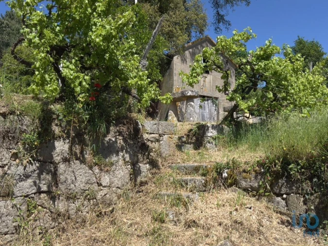 Moradia T5 para Venda em Oliveira do Douro Foto 13