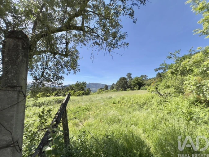 Moradia T5 para Venda em Oliveira do Douro Foto 19