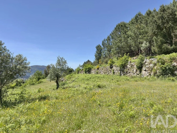 Moradia T5 para Venda em Oliveira do Douro Foto 22