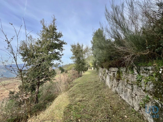 Moradia T5 para Venda em Oliveira do Douro Foto 11