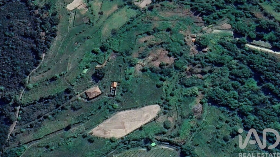 Moradia T5 para Venda em Oliveira do Douro Foto 30