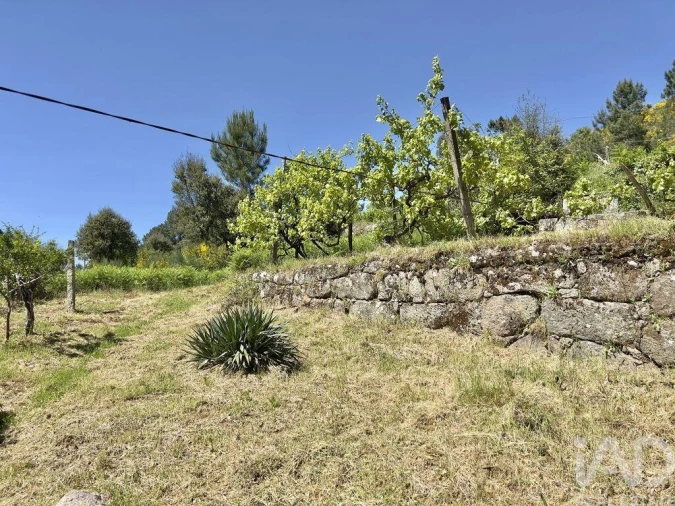 Moradia T5 para Venda em Oliveira do Douro Foto 20