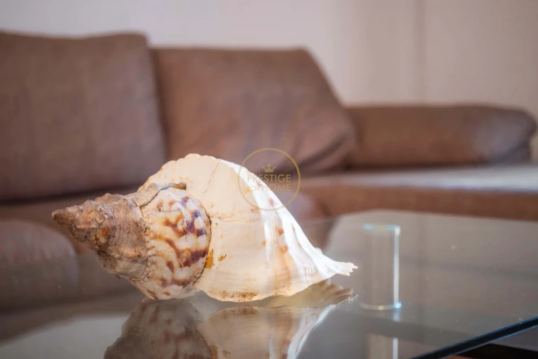 Apartamento T2 para Arrendamento em Conceição e Cabanas de Tavira Foto 21